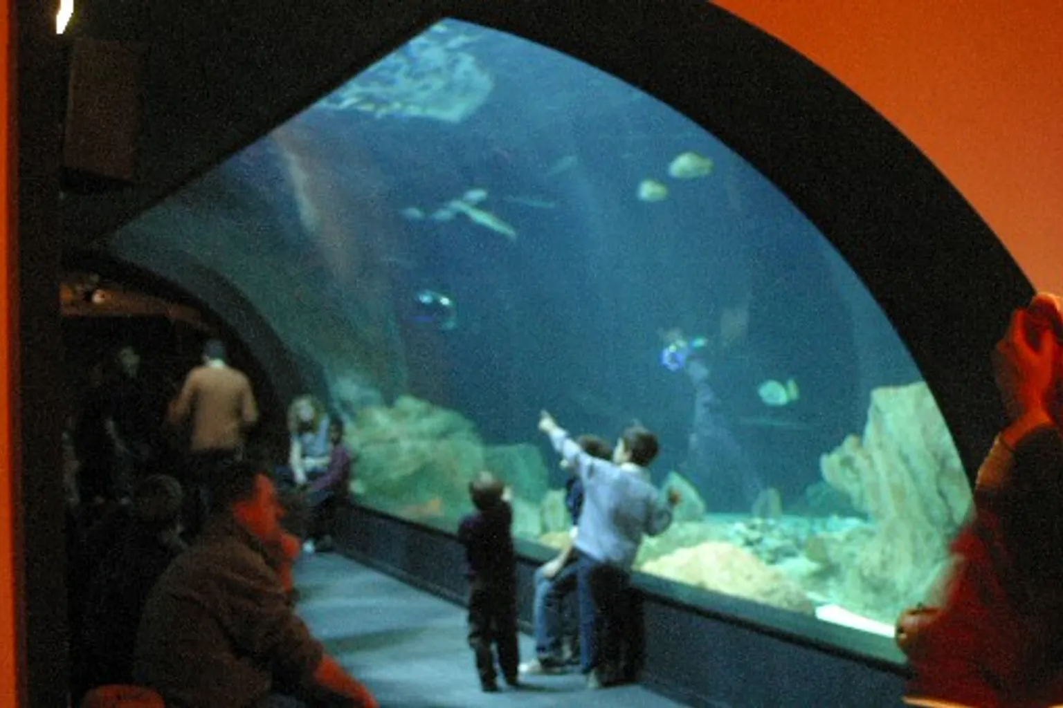 Aquarium de Paris tarifs : les étapes pour optimiser votre budget