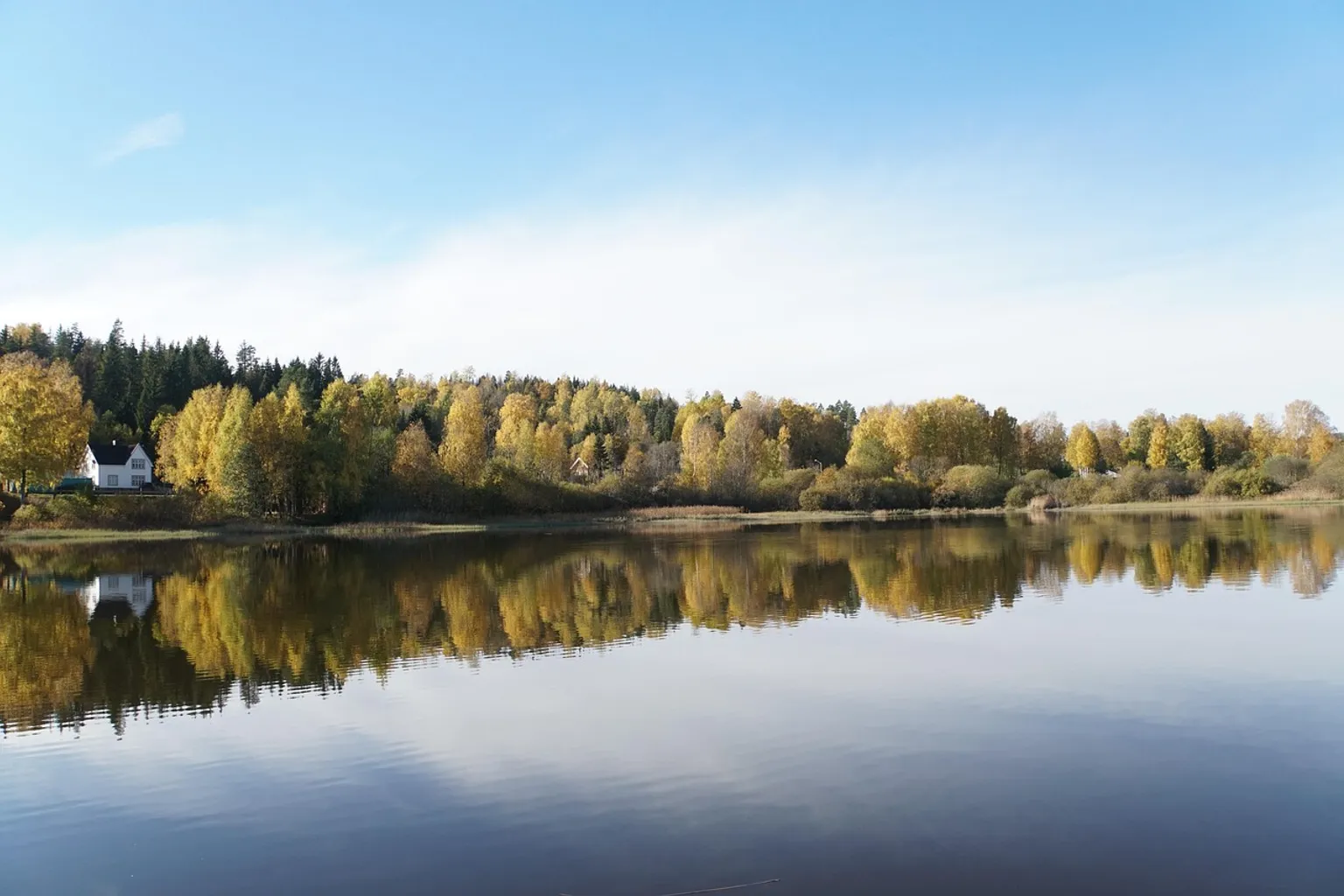 Forest Lagoon : comment choisir son billet sans se tromper