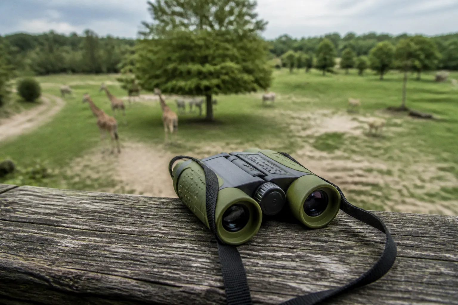 Parco Natura Viva visite : comment bien choisir sa formule ?