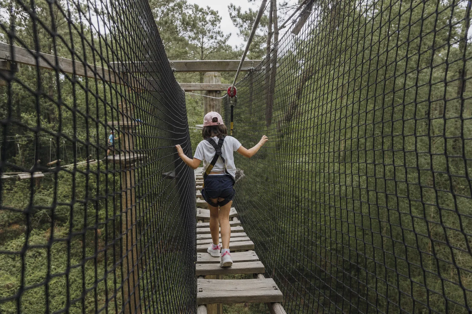 Terres de Nataé : une immersion estivale entre animaux rares et spectacles nocturnes