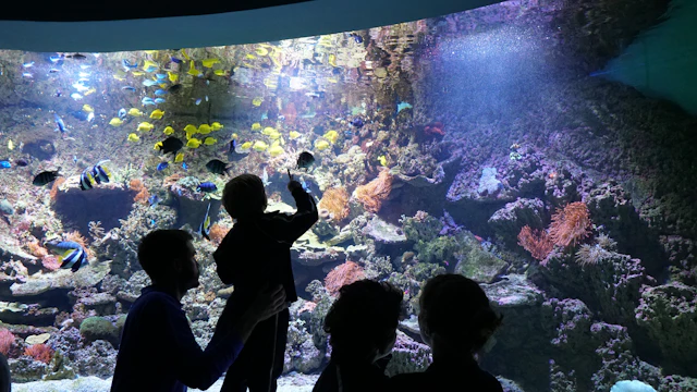 Aquarium de Séville