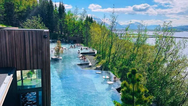 Forest Lagoon