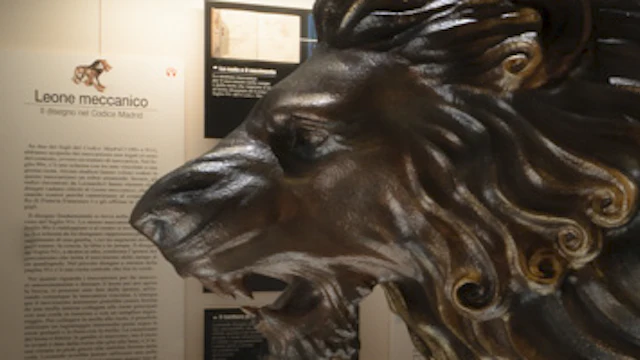Musée Leonardo3