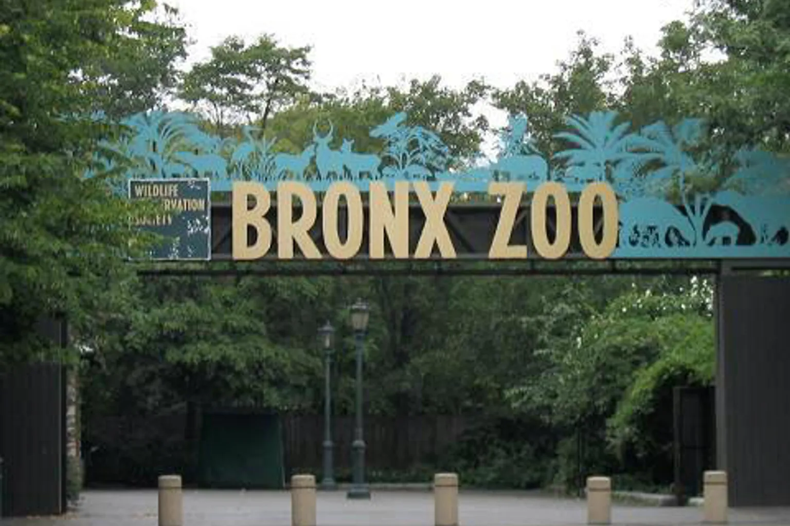 Zoo du Bronx visite : les préparatifs indispensables