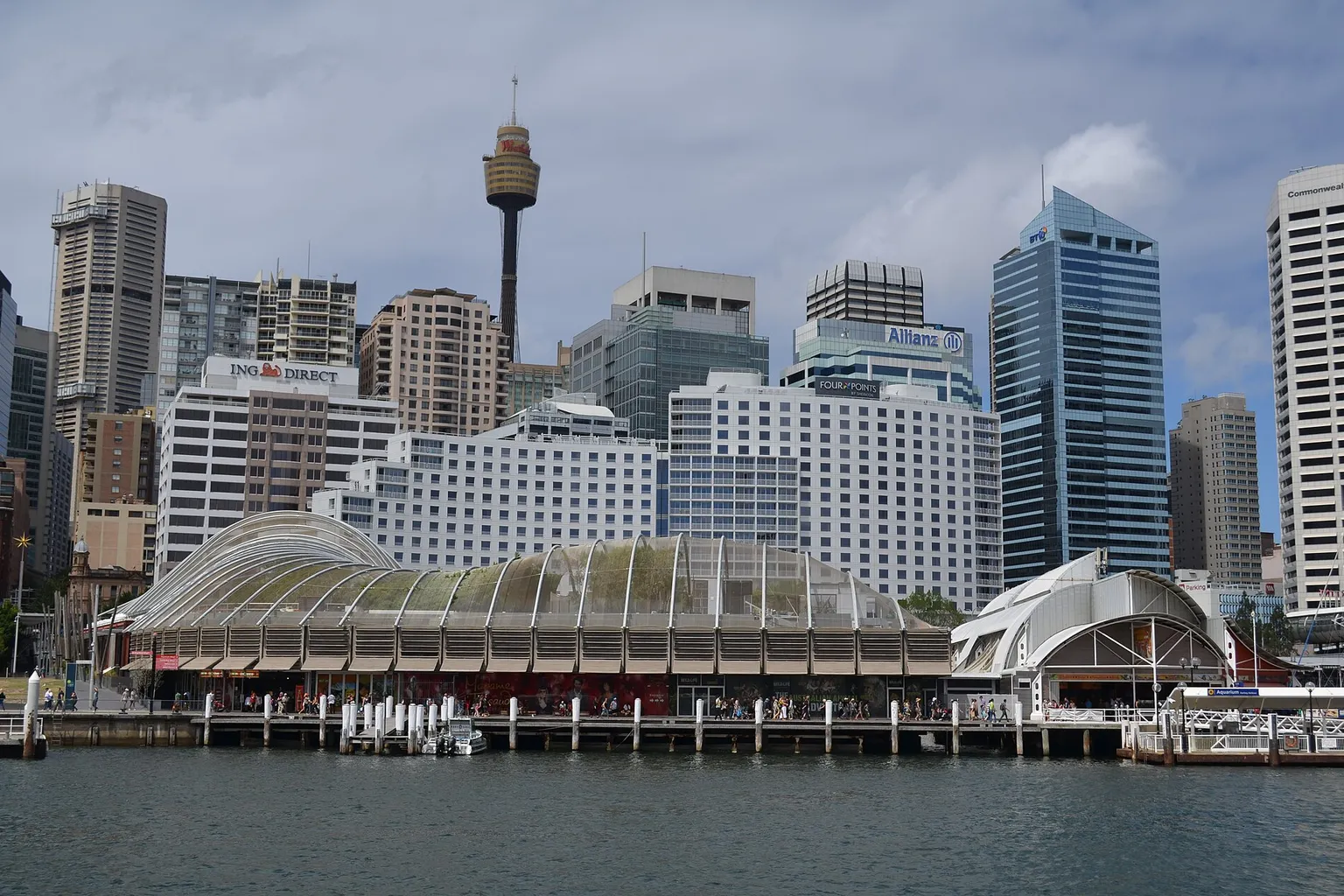 Zoo WILD LIFE Sydney visite : les points clés pour votre sortie